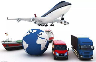 天貓出海新突破 杭州保稅零售出口試單告捷，電器輔件銷售迎藍海